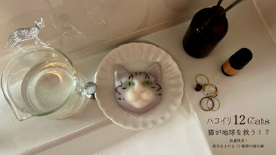 新商品【サバ白猫型の石鹸 ハコイリ12Cats】販売開始のお知らせ