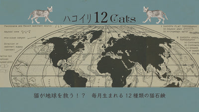 新ニャンコ石鹸誕生！？毎月生まれる12種類の猫石鹸【ハコイリ12Cats】販売開始いたします