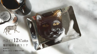 新商品【黒猫型の石鹸 ハコイリ12Cats】販売開始のお知らせ