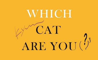 WHICH CAT ARE YOU?｜9.kyuuコラム